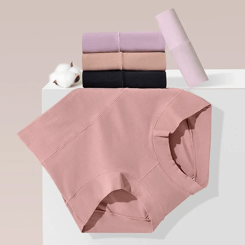 Culotte taille haute 2 pièces B
